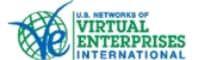 Virtual Enterprises (VEI)