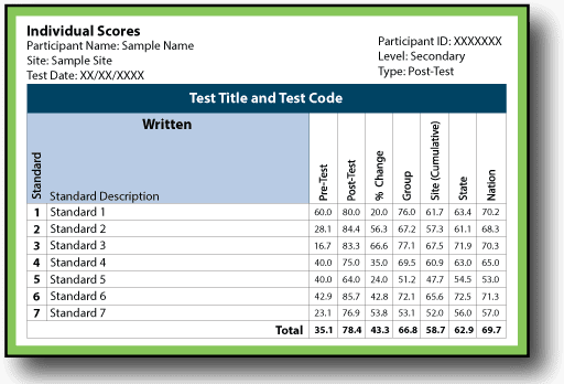 Individual Report Sampl