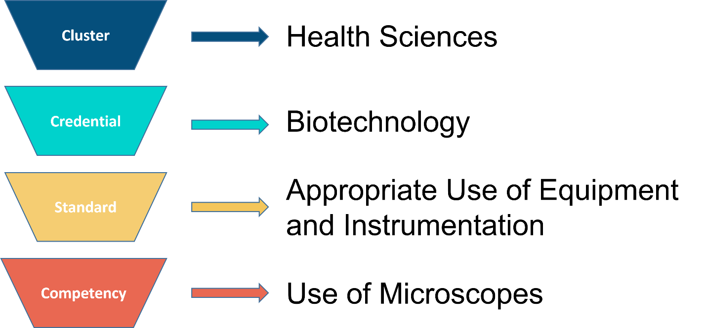 Micro-Credential Structure