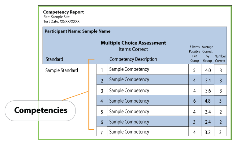 Individual Report Sampl